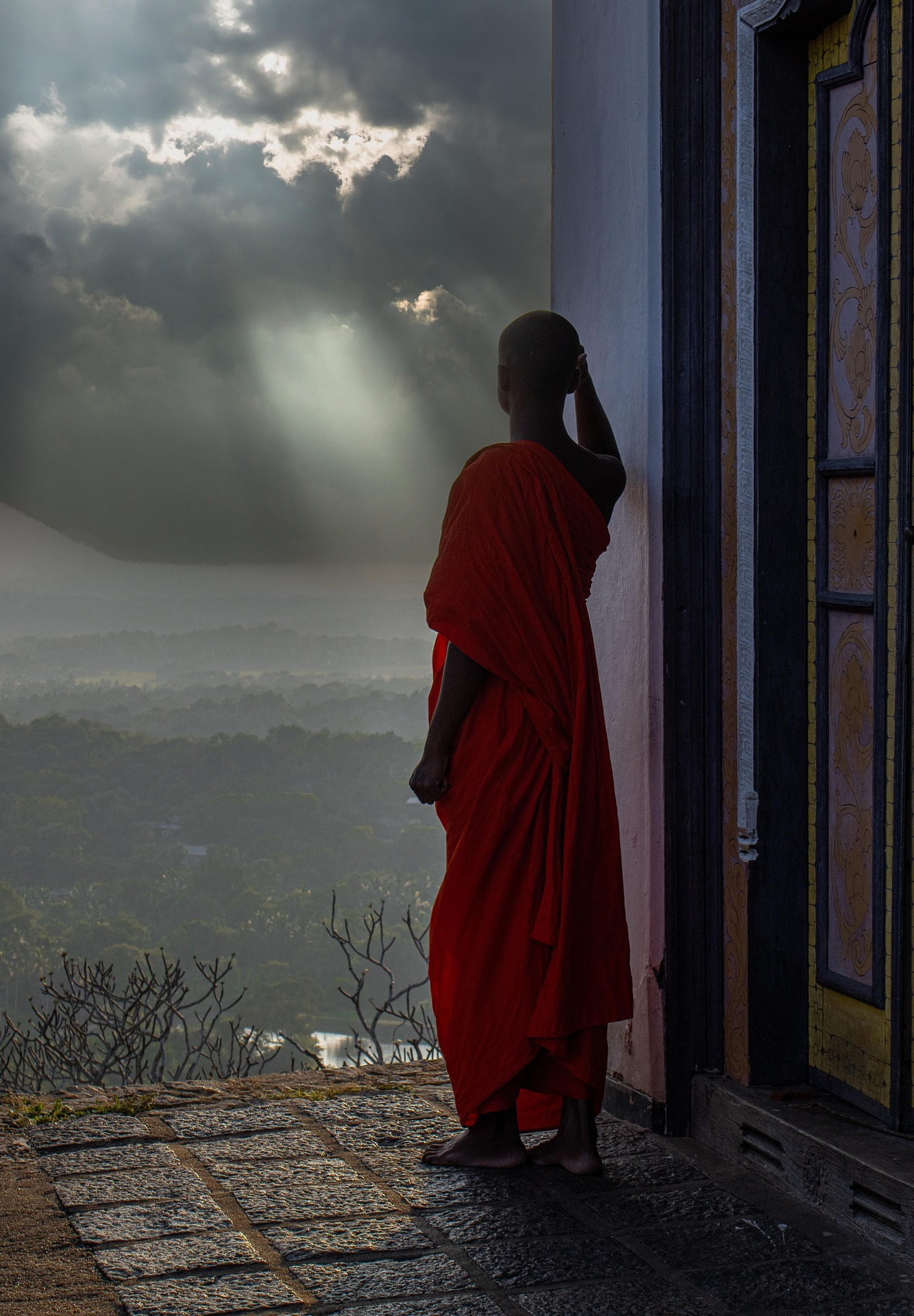 le monde appartient aux vrais gentils le monde appartient aux vrais gentils